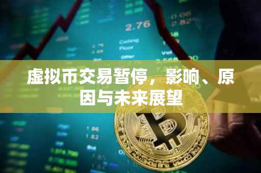 虚拟币交易暂停，影响、原因与未来展望