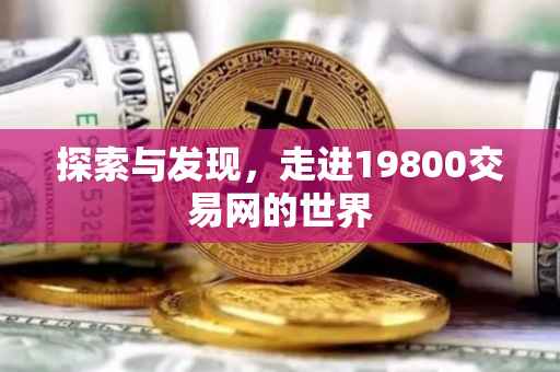 探索与发现，走进19800交易网的世界