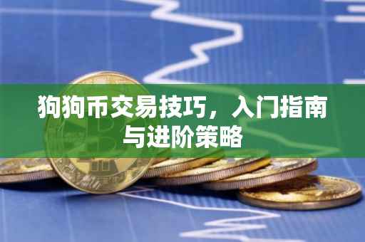 狗狗币交易技巧，入门指南与进阶策略