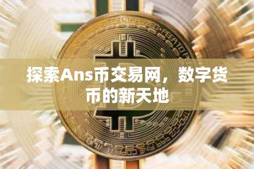 探索Ans币交易网，数字货币的新天地