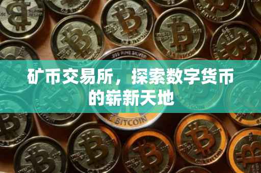 矿币交易所，探索数字货币的崭新天地