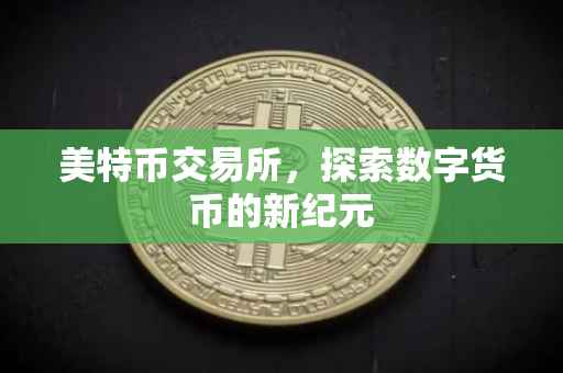 美特币交易所，探索数字货币的新纪元