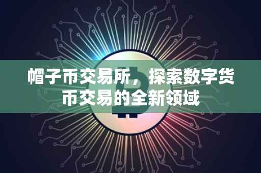 帽子币交易所，探索数字货币交易的全新领域