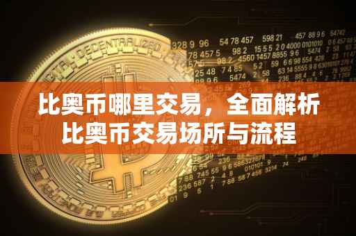 比奥币哪里交易，全面解析比奥币交易场所与流程