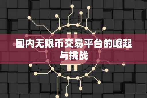 国内无限币交易平台的崛起与挑战