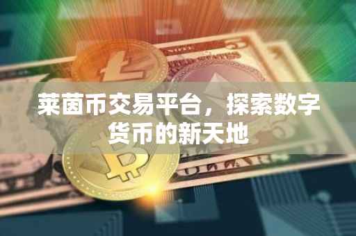 莱茵币交易平台，探索数字货币的新天地