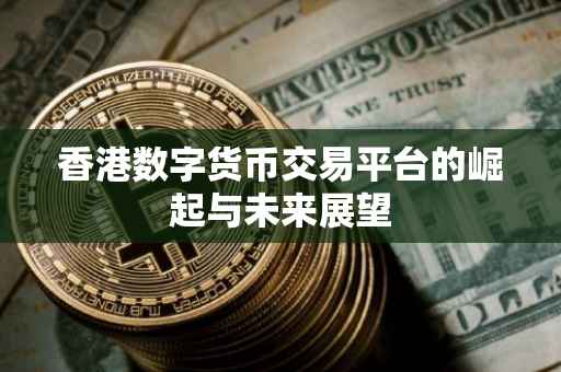 香港数字货币交易平台的崛起与未来展望