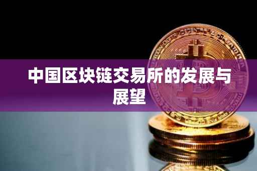 中国区块链交易所的发展与展望