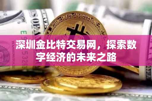 深圳金比特交易网，探索数字经济的未来之路