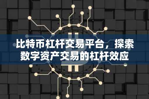 比特币杠杆交易平台，探索数字资产交易的杠杆效应