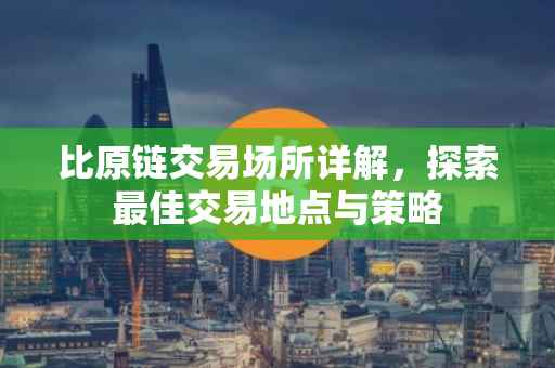 比原链交易场所详解，探索最佳交易地点与策略
