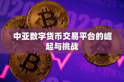 中亚数字货币交易平台的崛起与挑战