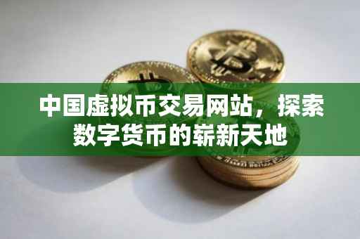 中国虚拟币交易网站，探索数字货币的崭新天地
