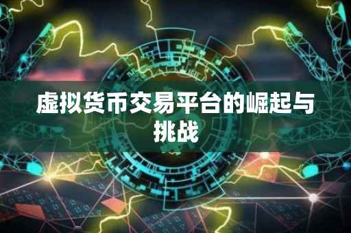 虚拟货币交易平台的崛起与挑战