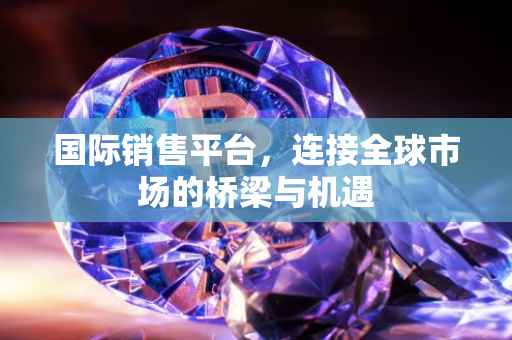 国际销售平台，连接全球市场的桥梁与机遇