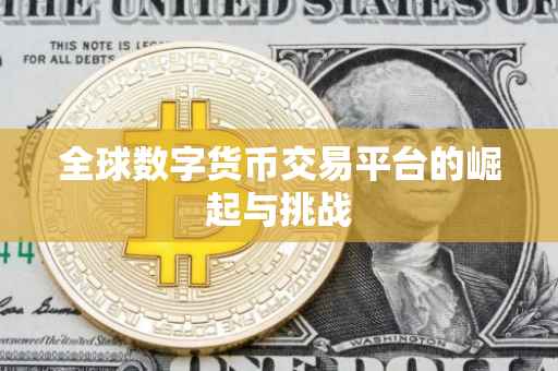 全球数字货币交易平台的崛起与挑战