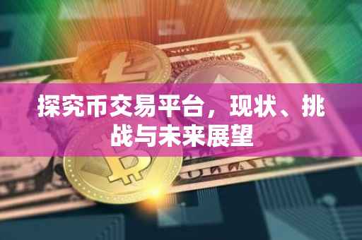 探究币交易平台，现状、挑战与未来展望
