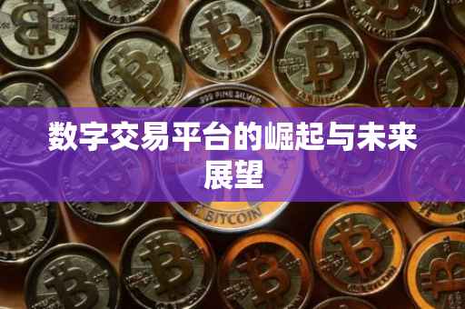 数字交易平台的崛起与未来展望