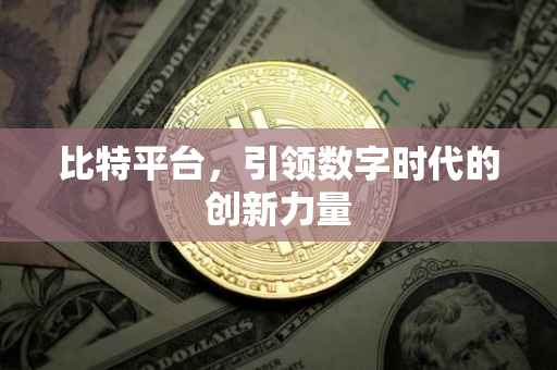 比特平台，引领数字时代的创新力量