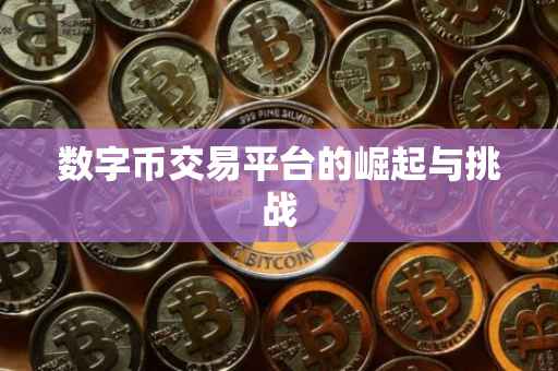 数字币交易平台的崛起与挑战