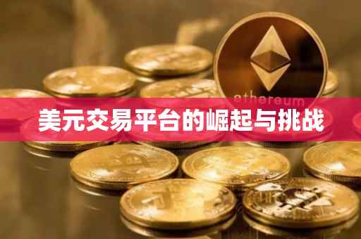美元交易平台的崛起与挑战