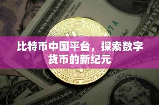 比特币中国平台，探索数字货币的新纪元