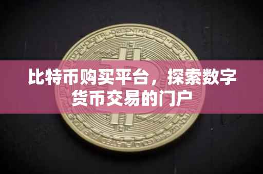 比特币购买平台，探索数字货币交易的门户