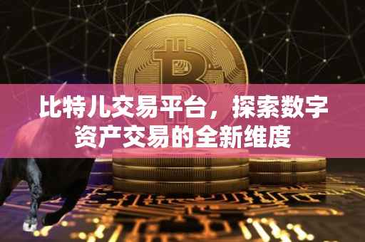 比特儿交易平台，探索数字资产交易的全新维度