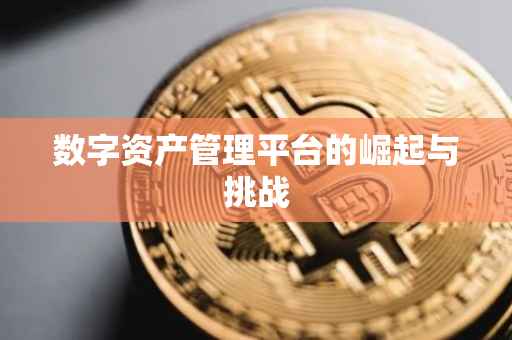 数字资产管理平台的崛起与挑战