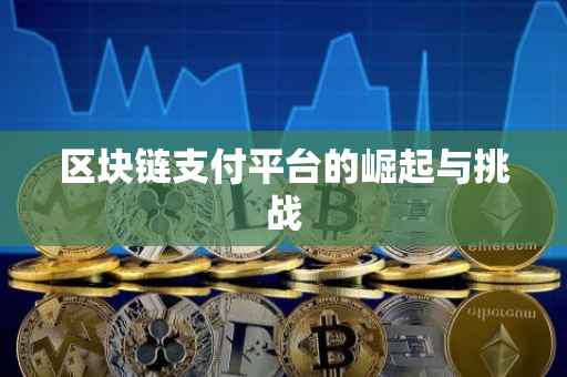 区块链支付平台的崛起与挑战