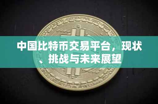 中国比特币交易平台，现状、挑战与未来展望
