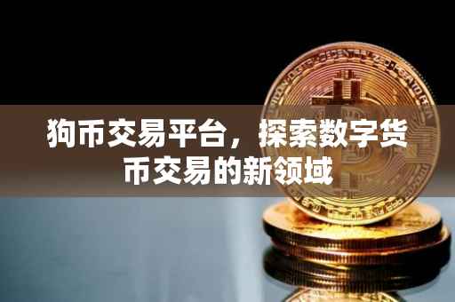 狗币交易平台，探索数字货币交易的新领域