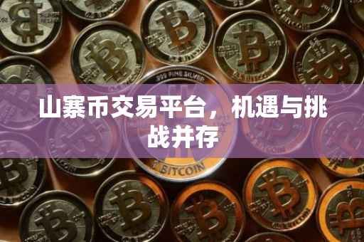 山寨币交易平台，机遇与挑战并存