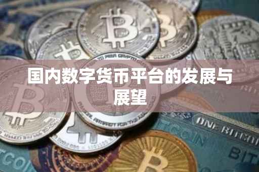 国内数字货币平台的发展与展望