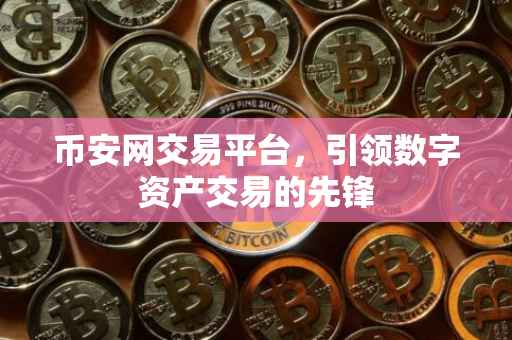 币安网交易平台，引领数字资产交易的先锋