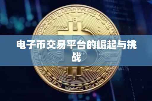 电子币交易平台的崛起与挑战