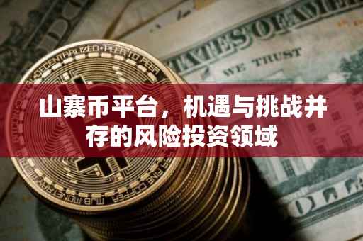 山寨币平台，机遇与挑战并存的风险投资领域