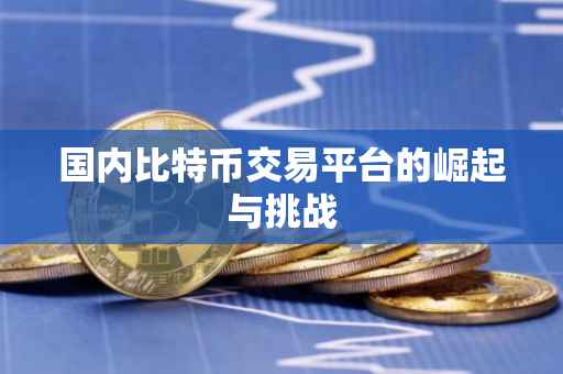 国内比特币交易平台的崛起与挑战
