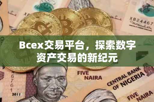Bcex交易平台，探索数字资产交易的新纪元