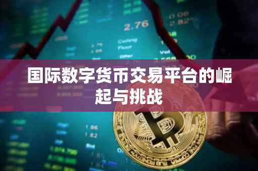 国际数字货币交易平台的崛起与挑战