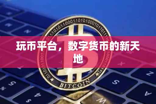 玩币平台，数字货币的新天地