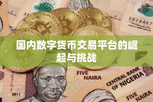 国内数字货币交易平台的崛起与挑战