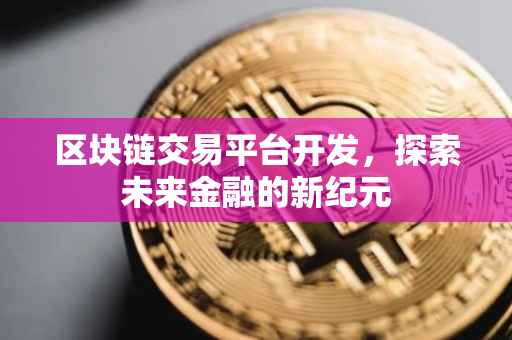 区块链交易平台开发，探索未来金融的新纪元