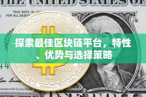 探索最佳区块链平台，特性、优势与选择策略