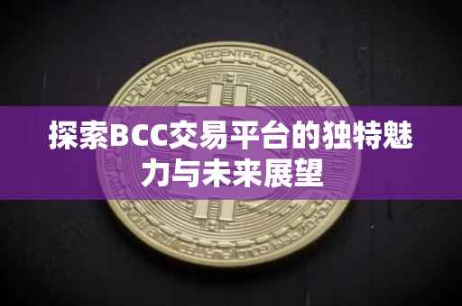 探索BCC交易平台的独特魅力与未来展望