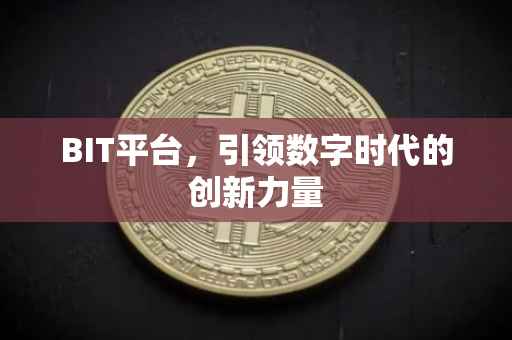 BIT平台，引领数字时代的创新力量