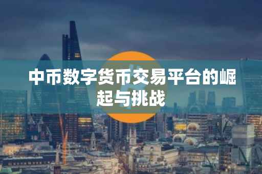 中币数字货币交易平台的崛起与挑战