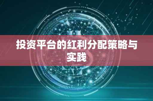 投资平台的红利分配策略与实践