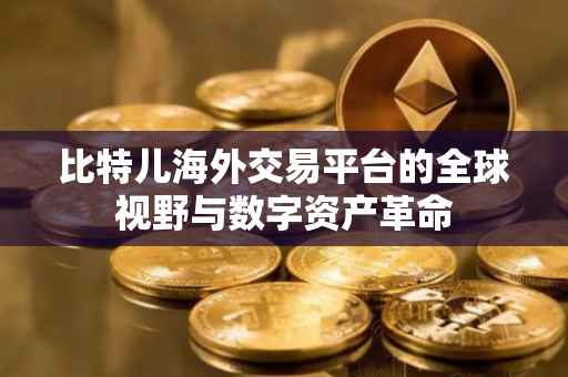 比特儿海外交易平台的全球视野与数字资产革命