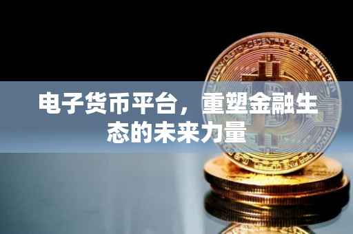 电子货币平台，重塑金融生态的未来力量